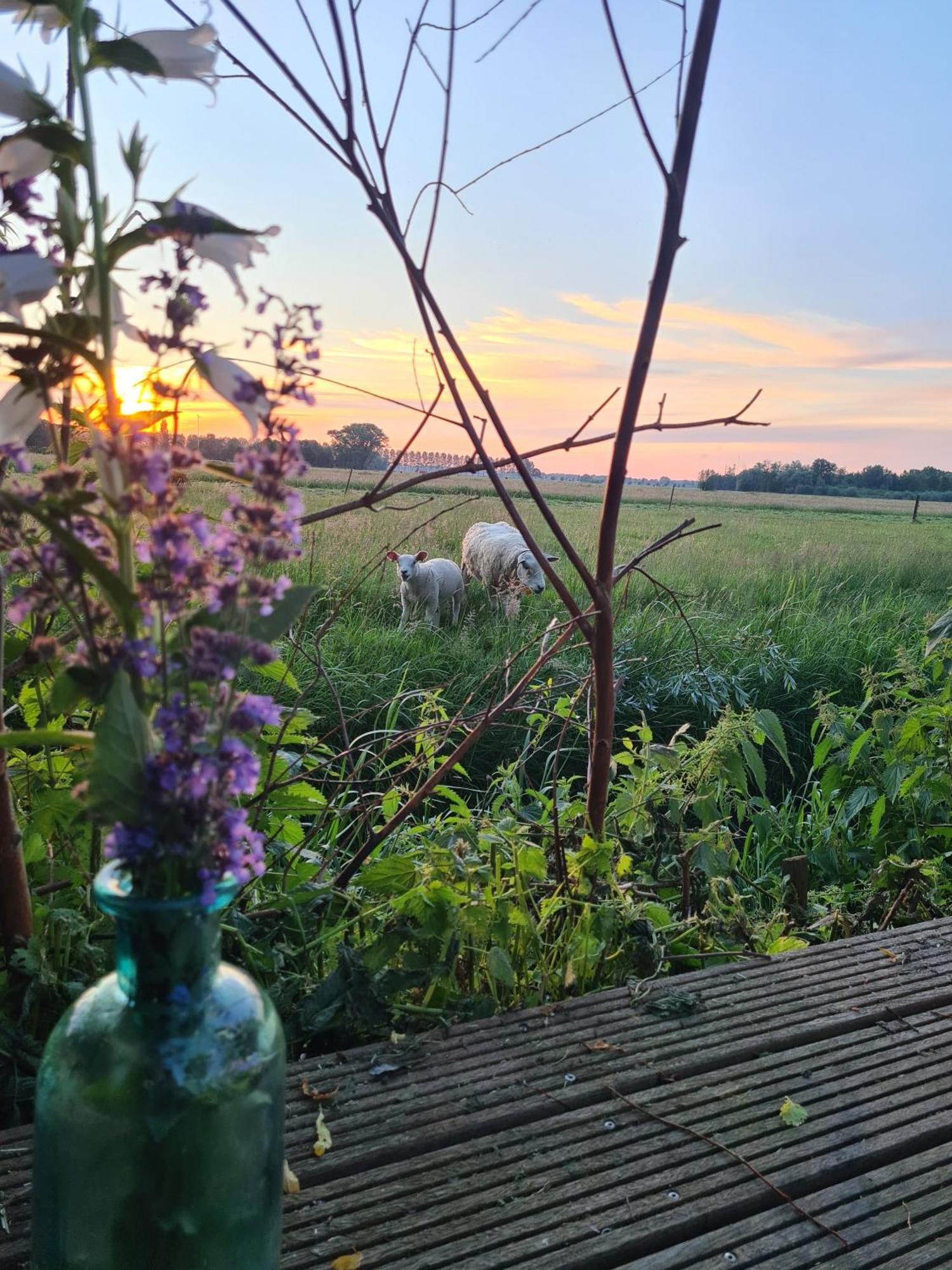 Cherry Cottage Schoonrewoerd Buitenkant foto